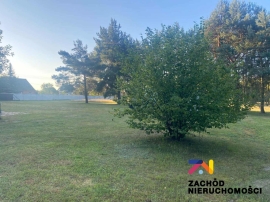 Duża działka 50 arów w Brodach